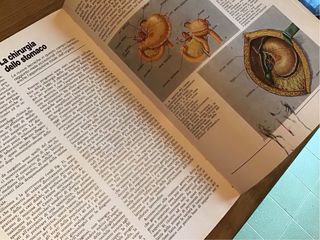 I grandi temi della medicina. Fabbri editore.