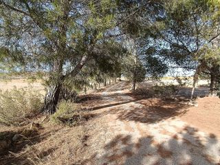 Casa en venta en Yecla