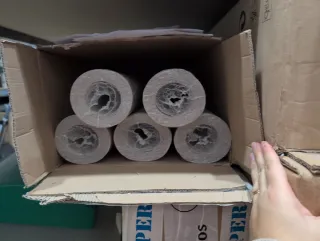 Papel Pintado Flamant Suite (disponible+modelos)