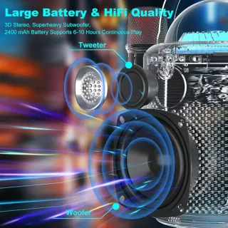 Karaoke Inalámbrico con 2 Micrófonos