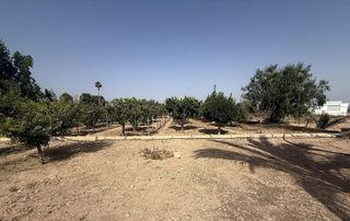 Chalet en venta en Novelda