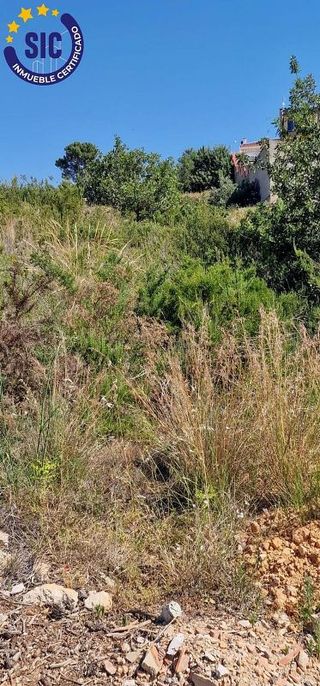 Solar en venta en Turís