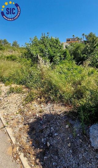 Solar en venta en Turís