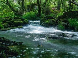 Piso en venta en Carballo