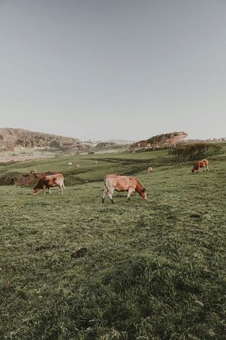 Piso en venta en Carballo