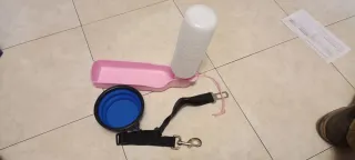 Accessori Cane: Ciotola, Borraccia, cinghia Auto