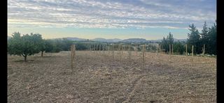 Casa rural en venta en Alhaurín el Grande