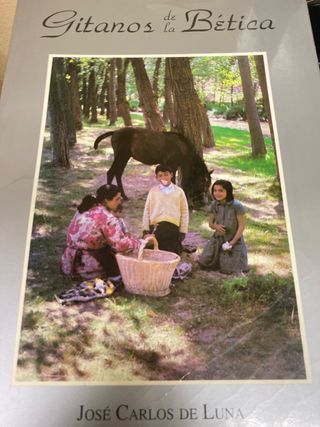 Gitanos de la Bética - Libro