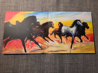 Mogwai The Hawk Is Howling Limited Edition DVD