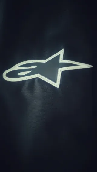 Chaqueta Alpinestars(negociable)