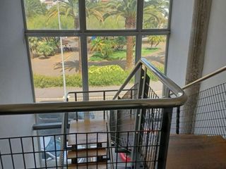 Oficina en alquiler en San Cristóbal de La Laguna - La Vega - San Lázaro en San Cristóbal de La Laguna