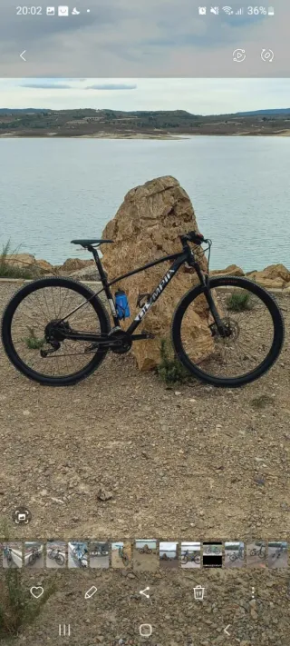 Bicicleta Olympia Drake 2024