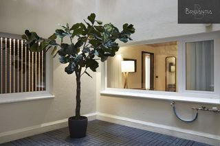 Piso en alquiler en Ensanche en Coruña (A)