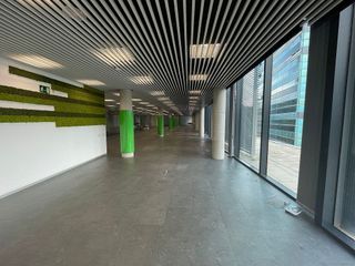 Oficina en alquiler en Bellvitge en Hospitalet de Llobregat, L´