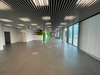 Oficina en alquiler en Bellvitge en Hospitalet de Llobregat, L´