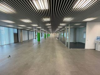 Oficina en alquiler en Bellvitge en Hospitalet de Llobregat, L´