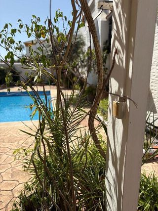 Chalet en venta en La Jara en Sanlúcar de Barrameda