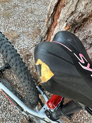 Bicicleta Scott Scale 24 Niño