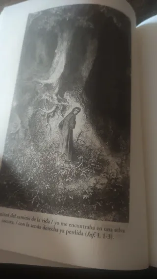 La Divina Comedia (Obras completas, volumen I).