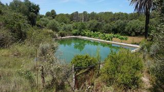 Casa rural en alquiler en Calvià en Calvià