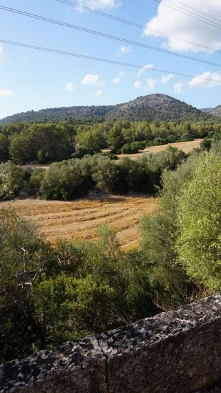Casa rural en alquiler en Calvià en Calvià