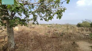 Casa rural en venta en Santa Margalida en Santa Margalida