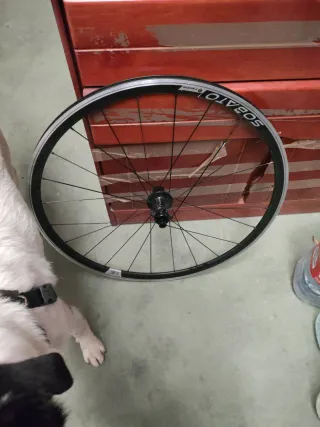 Rueda trasera para freno de disco