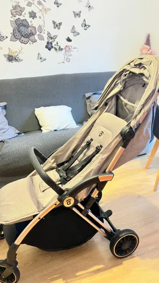 Silla de paseo Asalvo