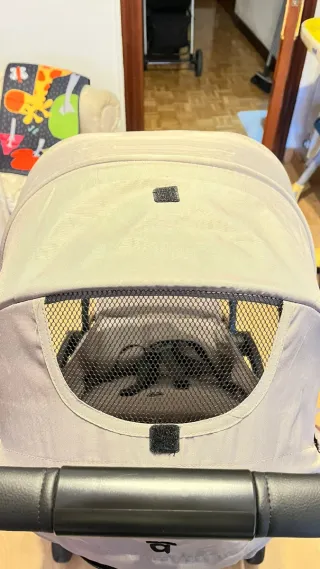 Silla de paseo Asalvo