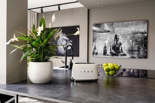 Casa adosada en alquiler en Benahavís