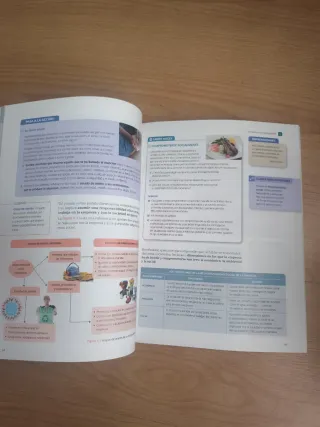 INICIACION A LA ACTIVIDAD EMPRENDEDORA Y EMPRES...