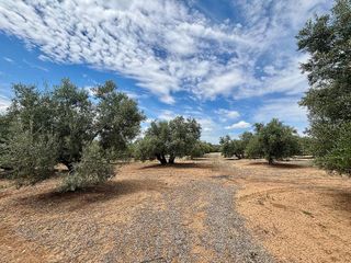 Terreno en venta en Úbeda