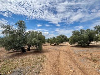 Terreno en venta en Úbeda