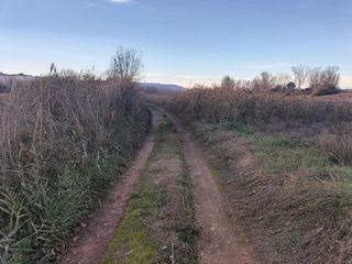 Terreno en venta en Villamuriel de Cerrato