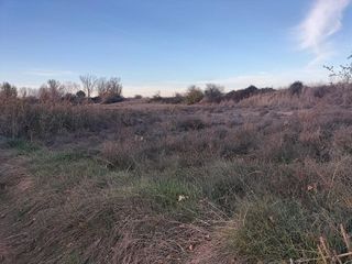 Terreno en venta en Villamuriel de Cerrato