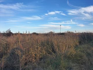 Terreno en venta en Villamuriel de Cerrato