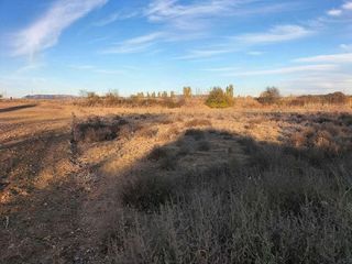 Terreno en venta en Villamuriel de Cerrato
