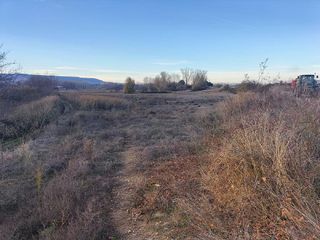 Terreno en venta en Villamuriel de Cerrato