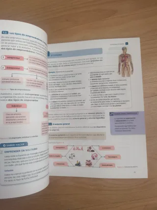 Iniciación a la actividad emprendedora y empres...