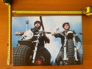 Quadro di Altrimenti ci arrabbiamo