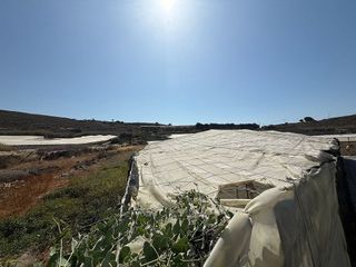 Terreno en venta en Adra