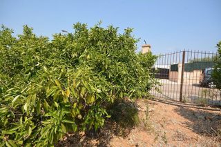 Terreno en venta en Es Garrovers en Marratxí