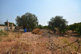 Terreno en venta en Es Garrovers en Marratxí