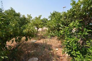 Terreno en venta en Es Garrovers en Marratxí