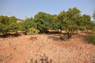 Terreno en venta en Es Garrovers en Marratxí