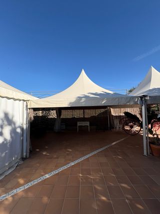 Carpas Jaima Profesionales Alumife 10x10 y 5x5