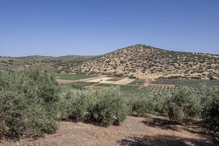 Terreno en venta en Montefrío