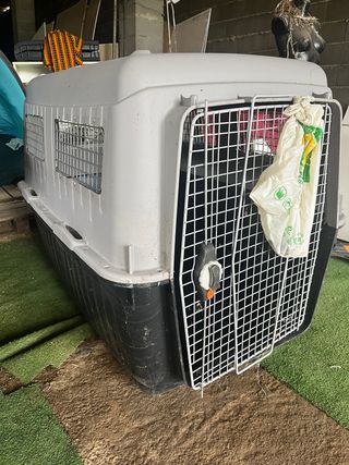 Transportín grande para perro