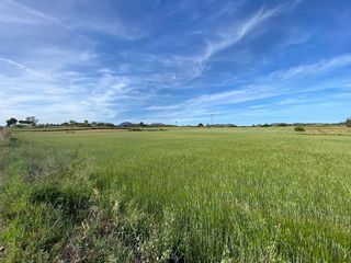Solar en venta en Manacor Centro en Manacor