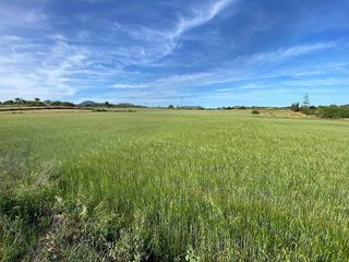 Solar en venta en Manacor Centro en Manacor